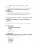 PLANIFICACIÓN DE LOS PROCESOS DE LACTEOS