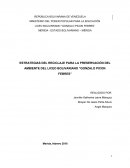 ESTRATEGIAS DEL RECICLAJE PARA LA PRESERVACIÓN DEL AMBIENTE DEL LICEO BOLIVARIANO “GONZALO PICON FEBRES”