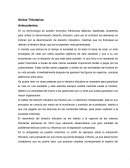 Ilicitos tributarios. Antecedentes