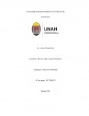 Trabajo de Ensayo: Documental antes que sea tarde (Before The Flood)