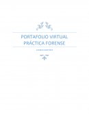 Practica forense apuntes