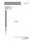 Negocios Internacional II Tarea 7