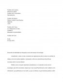 EFICIENCIA LABORAL. La colaboración en redes Unidad #2