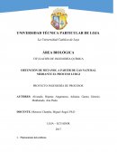 Proyecto obtención de metanol
