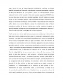 Taller de Técnicas Invernales