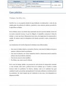 Caso práctico Trabajo: CarriOx, S.A.