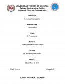 El presupuesto y tipos