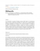Generador de hidrógeno autónomo basado en la descomposición química del agua por aluminio