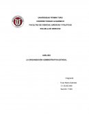 ANÁLISIS LA ORGANIZACIÓN ADMINISTRATIVA ESTADAL