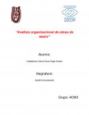 Análisis organizacional teatro