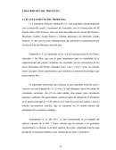 ANALISIS DEL PROCESO CONSTRUCTIVO DEL PRE-ARMADO DEL CABEZAL SUPERIOR DE LA PILA 7 NORTE, DEL SISTEMA VIAL III PUENTE SOBRE EL RIO ORINOCO