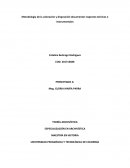 Metodología de la valoración y disposición documental: Aspectos teóricos e instrumentales