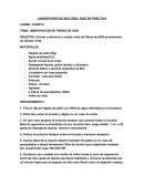 LABORATORIO DE BIOLOGÍA: GUÍA DE PRÁCTICA