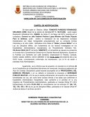 Sistema nervioso x gregoris diaz