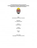 El rol del talento humano en las organizaciones