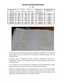 CALCULOS Y DISCUSION DE RESULTADOS