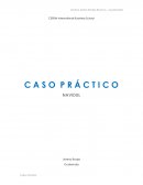 C A S O P R Á C T I C O NAVIDUL