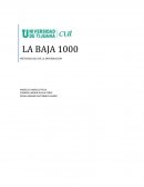 METODOLOGIA DE LA INFORMACION