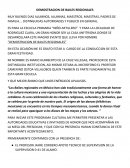 PROGRAMA DE BAILES REGIONALES