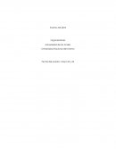 Prologo Organizadores