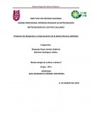 Producion de diosgenina y criopresevacion de la planta Discorea deltoidea