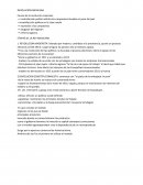 ETAPAS DE LA REV MEXICANA