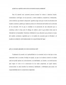 ¿Cuál es su opinión acerca de la economía social y solidaria?