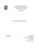 MICROPROCESADORES IBM
