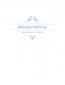 Analisis Vertical Manufacturera XY SA