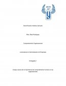 La importancia del comportamiento humano en las organizaciones