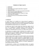 Fundamentos de higiene insustrial