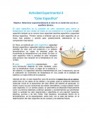 Actividad Experimental 3 “Calor Especifico”