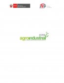 CENTRO DE INNOVACIÓN PRODUCTIVA Y TRANSFERENCIA TECNOLÓGICA AGROINDUSTRIAL DE ICA – CITEagroindustrial Ica