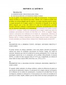 EJEMPLO DE REPORTE ACADEMICO