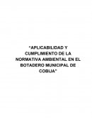 APLICABILIDAD Y CUMPLIMIENTO DE LA NORMATIVA AMBIENTAL EN EL BOTADERO MUNICIPAL DE COBIJA