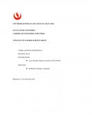 Ensayo: Energias renovables
