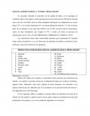 EJEMPLO ELEVATOR GRANJA