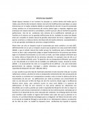 Efecto isla caliente