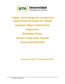 Trabajo de Investigación condiciones ergonómicas de puesto de trabajo