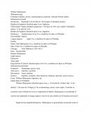 El Retrato Chandos, artista y autenticidad sin confirmar. National Portrait Gallery.