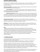 FEUDALISMO Y CONQUISTA DE AMÉRICA