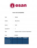 Laboratiros INGENIERÍA