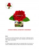 ¡Cuida tú belleza, probando la naturaleza!