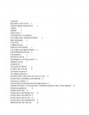 Administración para ingenieros. Resumen ejecutivo