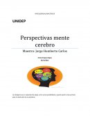INTELIGENCIAS MULTIPLES. Perspectivas mente cerebro