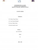 TOUR DE LA PLANTAFORMA MI AULA