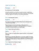 Hormonas en el cuerpo humano