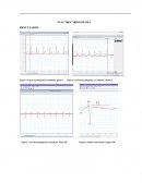 ELECTROCARDIOGRAMA RESULTADOS