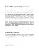 La perspectiva del proceso interno