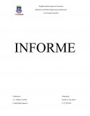 Informe Contaduria Superior